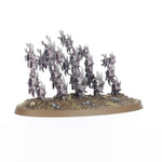 Warhammer Age of Sigmar - Hedonites of Slaanesh Regiment of Renown: The Accursed Reflection