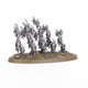 Warhammer Age of Sigmar - Hedonites of Slaanesh Regiment of Renown: The Accursed Reflection