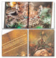 The Old World - Khazalite Holds Army set