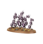 Warhammer Age of Sigmar - Hedonites of Slaanesh Regiment of Renown: The Accursed Reflection