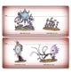 Warhammer Age of Sigmar - Hedonites of Slaanesh Regiment of Renown: The Accursed Reflection