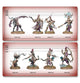 Warhammer Age of Sigmar - Battleforce: Hedonites of Slaanesh – The Decadent Host