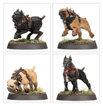 Warhammer Age of Sigmar - Cities of Sigmar Regiment of Renown: Ven Denst's Hounds