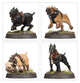 Warhammer Age of Sigmar - Cities of Sigmar Regiment of Renown: Ven Denst's Hounds