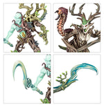 Age of Sigmar - Sylvaneth Regiment of Renown: The Twisted Branch