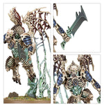 Warhammer Age of Sigmar - Battleforce: Ossiarch Bonereapers – Null Myriad Phalanx