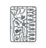 Warhammer Age of Sigmar - Lumineth Realm-Lords Vanari Auralan Wardens