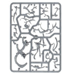 Warhammer Age of Sigmar - Hedonites of Slaanesh Regiment of Renown: The Accursed Reflection