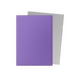 Dragon Shield Dual Matte Sleeves (100)
