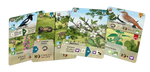 Forest Shuffle - Woodland Edge Exp
