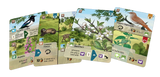 Forest Shuffle - Woodland Edge Exp