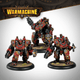 Warmachine: Khador Winter Korps Command Starter