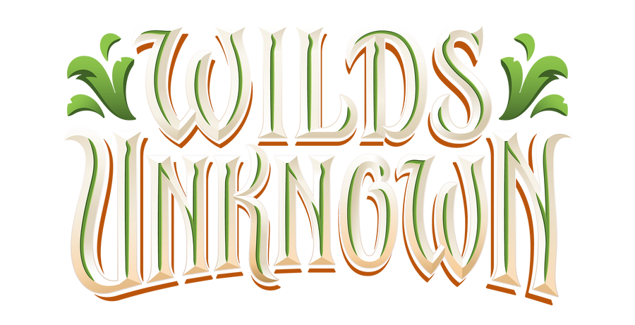 Disney Lorcana: Wilds Unknown Store Championship Lördagen 6 Juni