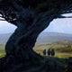 The Lord of the Rings Roleplaying - Shire Adventures (D&D 5th Ed. compatible)