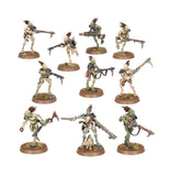 Warhammer 40,000 - Kroot Carnivore Squad