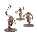 Warhammer Age of Sigmar - Sons of Behemat: Boss-stompers