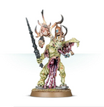 Warhammer 40.000 / Age of Sigmar - Daemons of Nurgle: Poxbringer